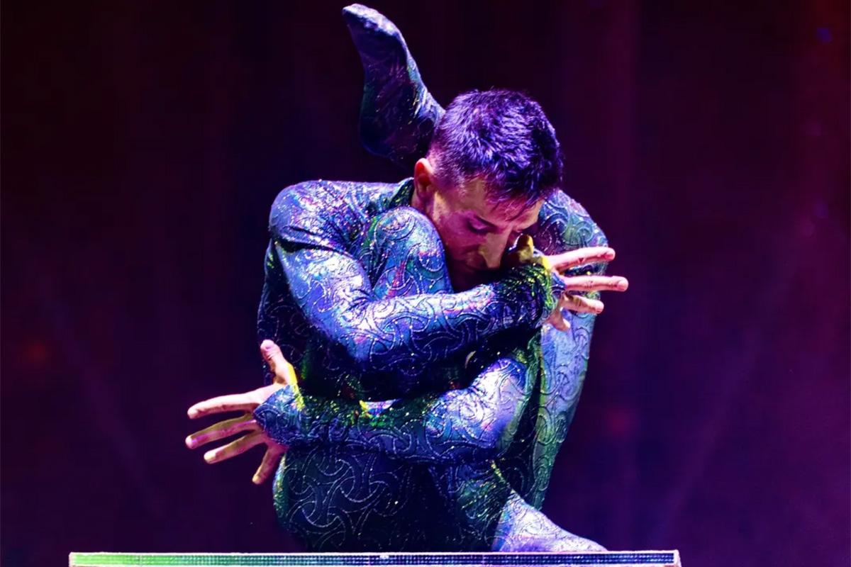 Toegangsticket Groot Kerstcircus Den Haag