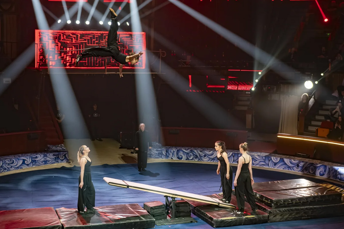 Toegangsticket Groot Kerstcircus Den Haag