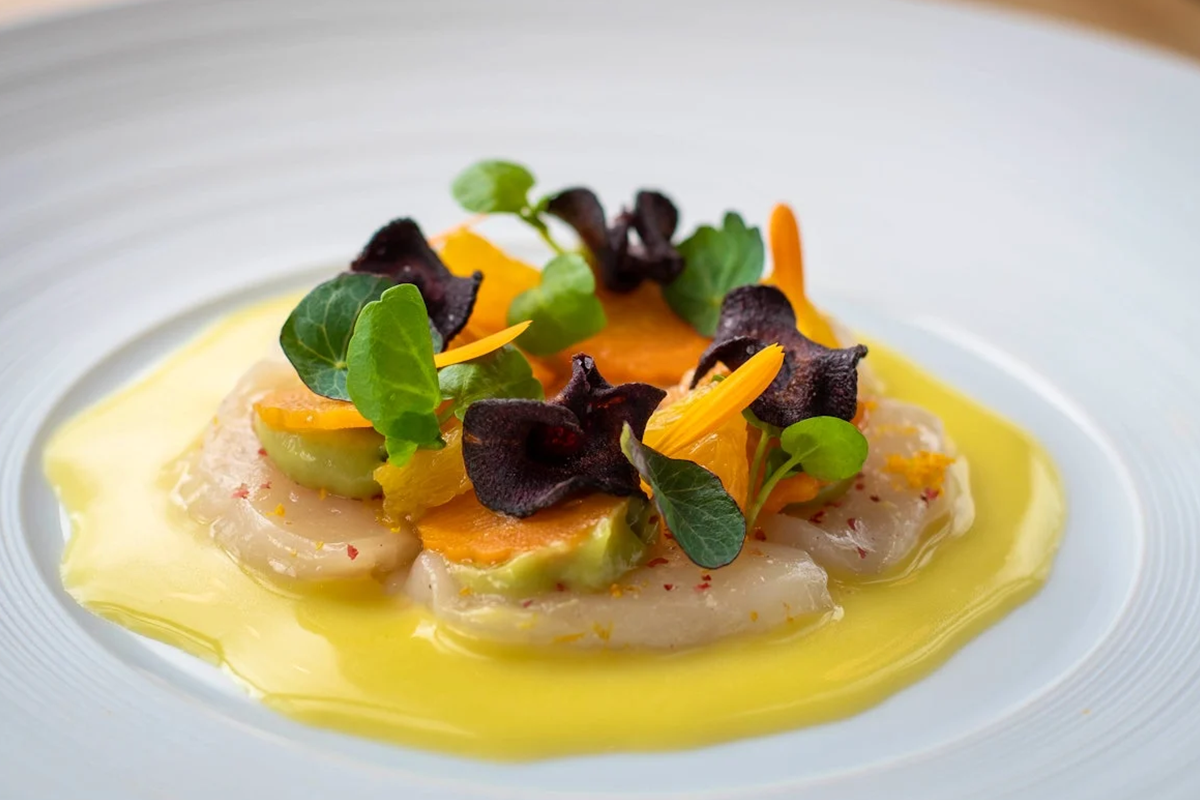 Culinair vegetarisch 7-gangendiner bij Restaurant Oxalis