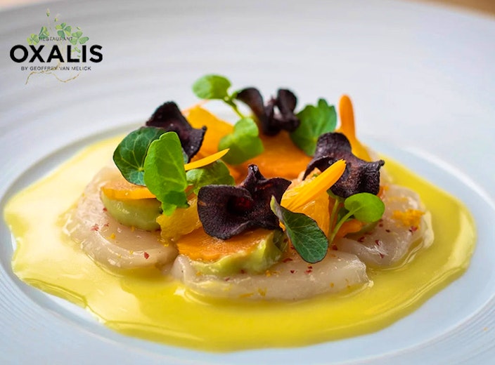 Vegetarisch 7-gangendiner bij Restaurant Oxalis