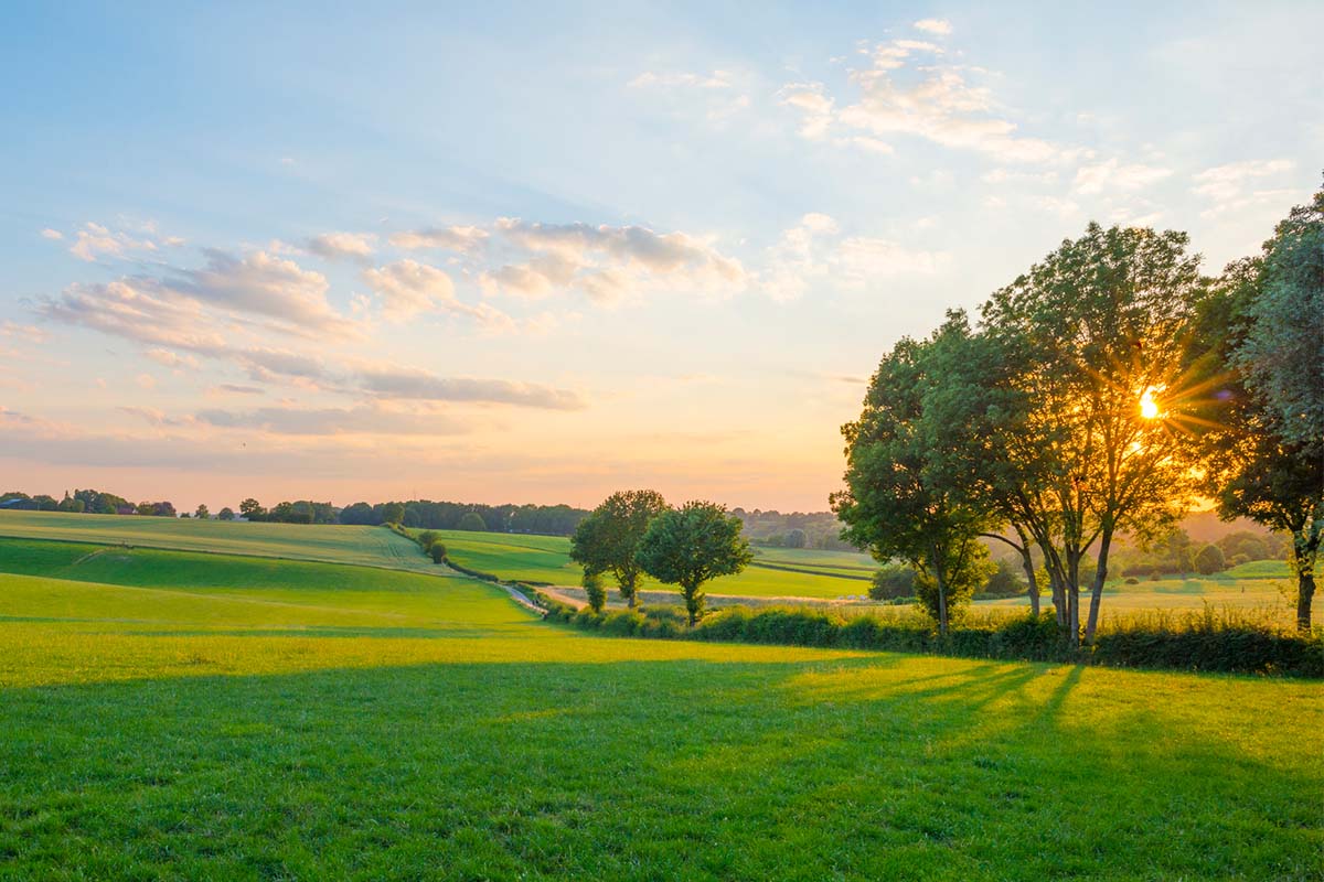 Huur een Vespa scooter voor een dag (8 uur) bij Vespa Limburg