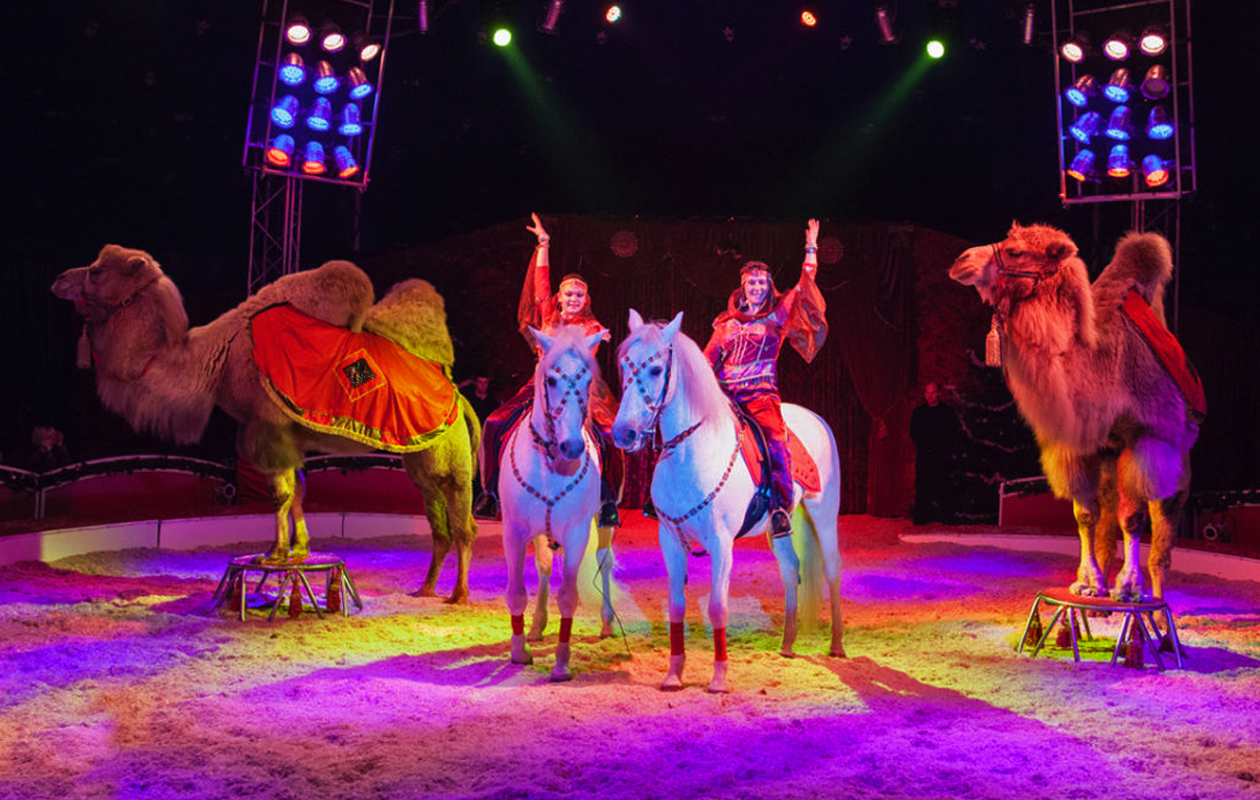 Bezoek de 15-jarige jubileumshow van Kerstcircus Sittard-Geleen! 