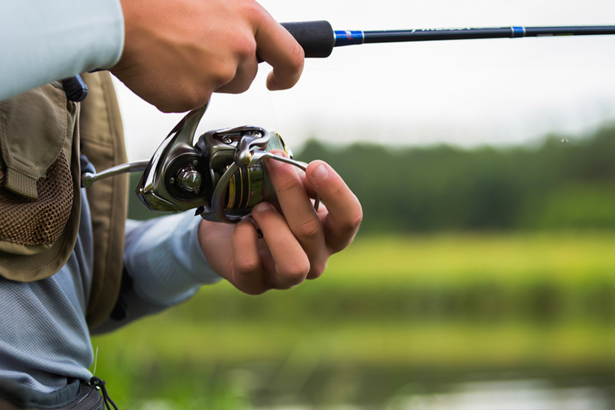Hele dag vissen + materiaalhuur bij Koi, Vijver & Fishing
