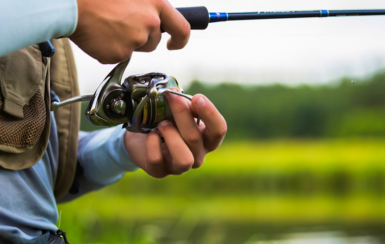 Hele dag vissen + materiaalhuur bij Koi, Vijver & Fishing