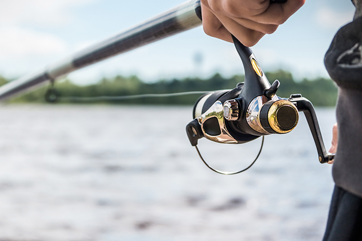 Hele dag vissen + materiaalhuur bij Koi, Vijver & Fishing