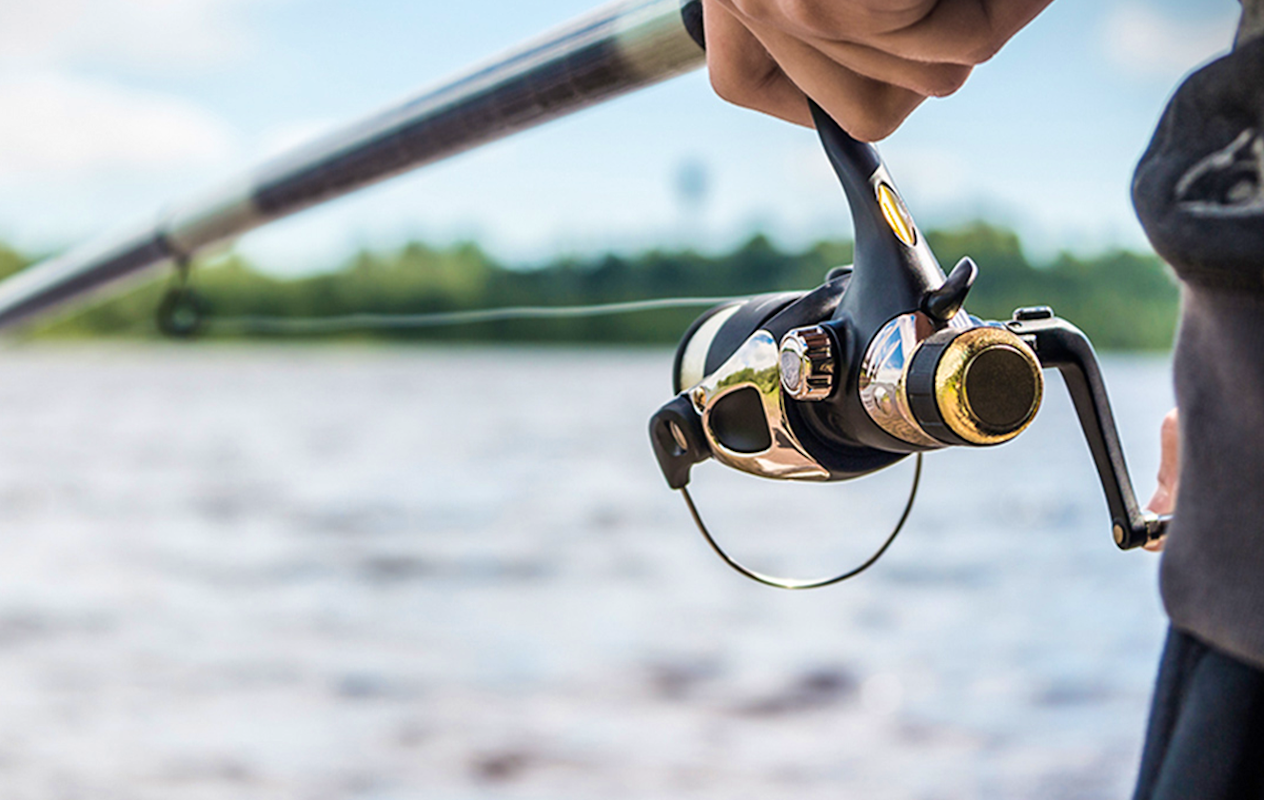 Hele dag vissen + materiaalhuur bij Koi, Vijver & Fishing