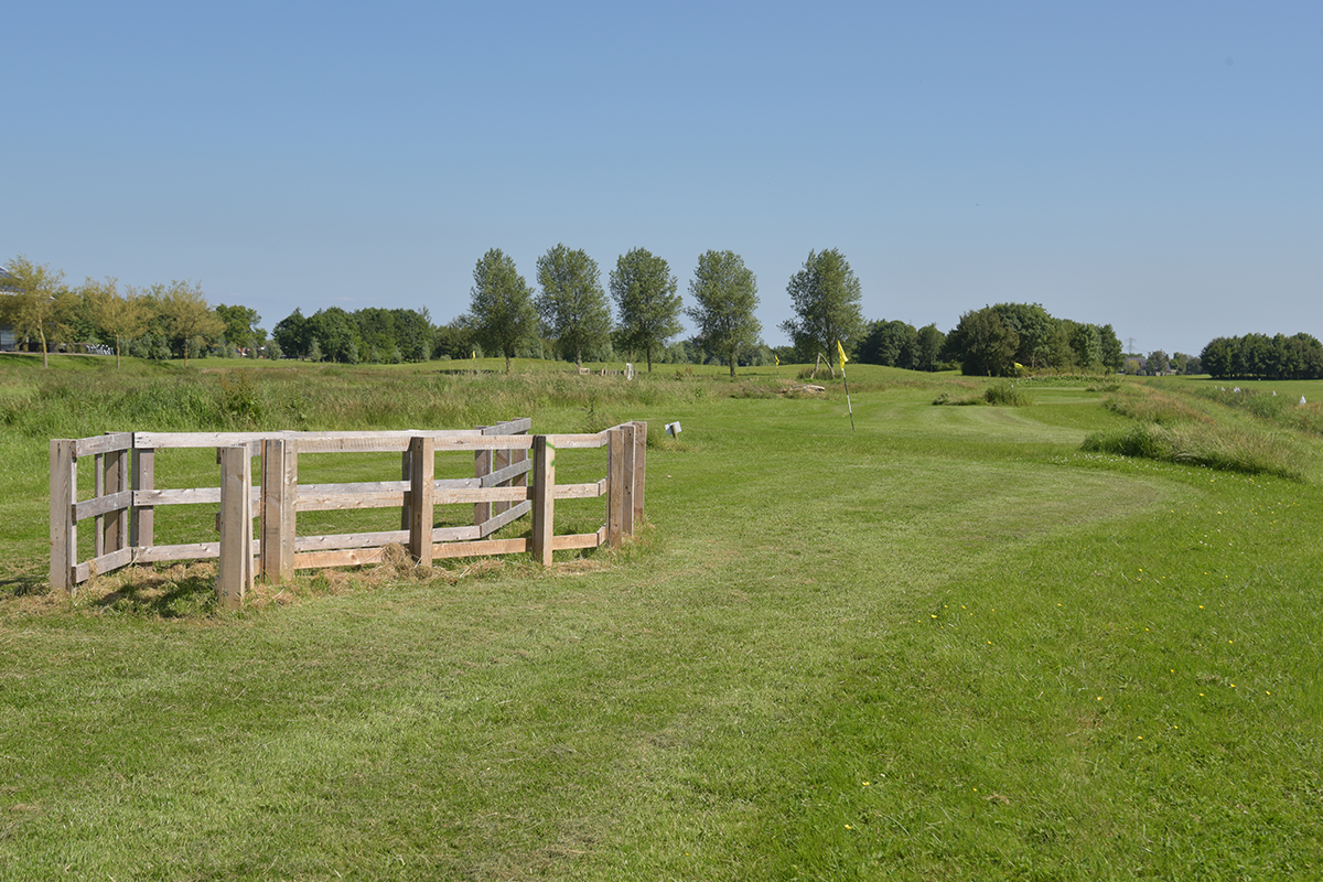 Voetgolf (18 holes) + bittergarnituur, gebak, koffie/thee én drankje