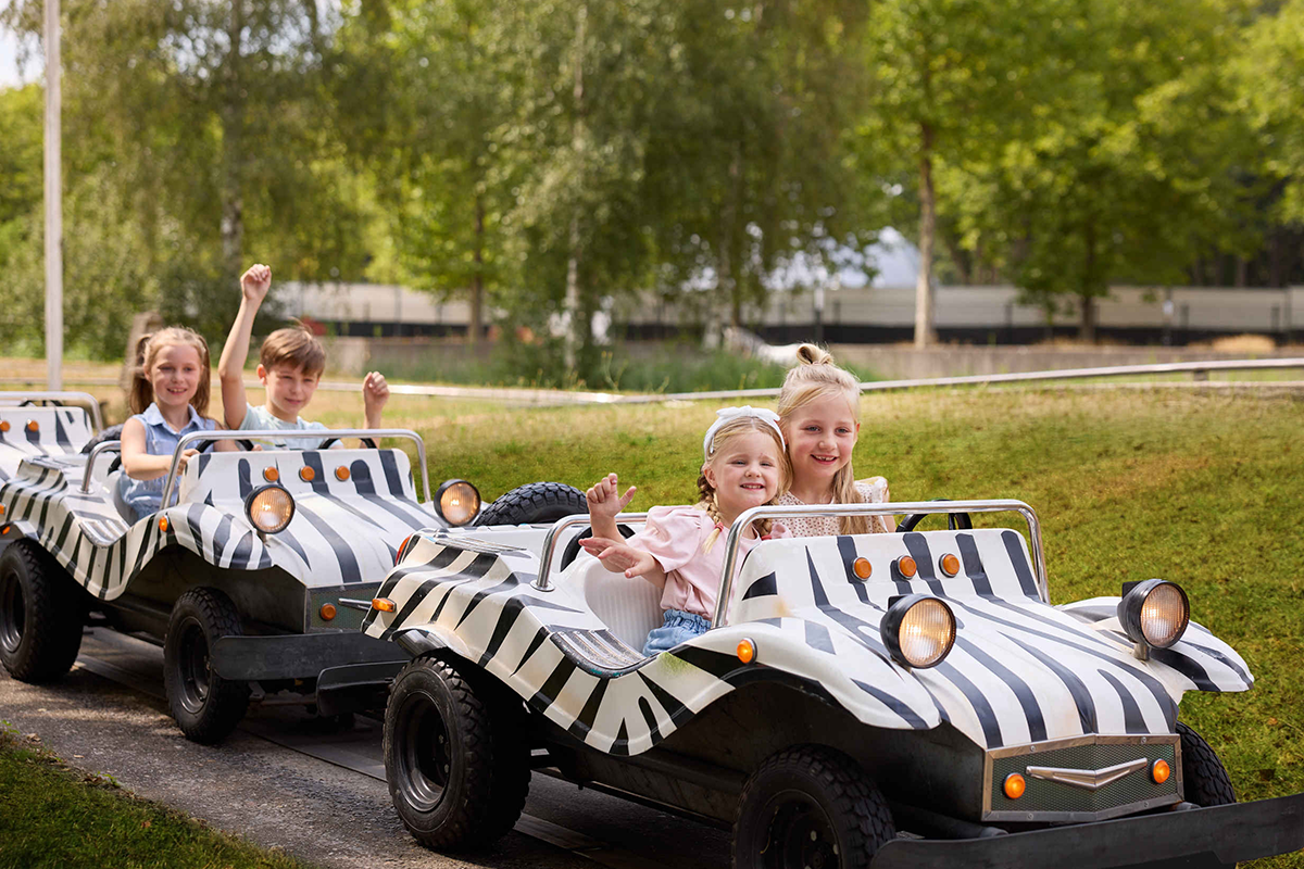 Volwassene ticket Speelland Beekse Bergen