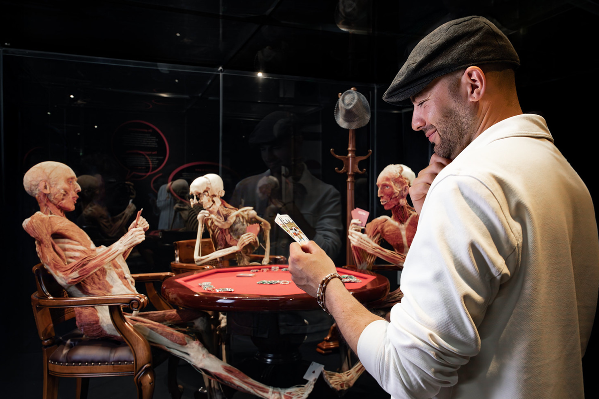 Ticket BODY WORLDS (6-17 jaar)