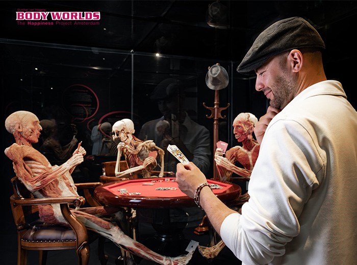 Volwassene ticket BODY WORLDS (18+)