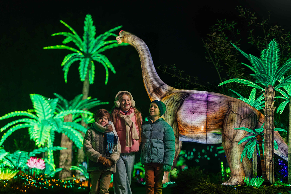 Volwassene ticket Light Safari Beekse Bergen