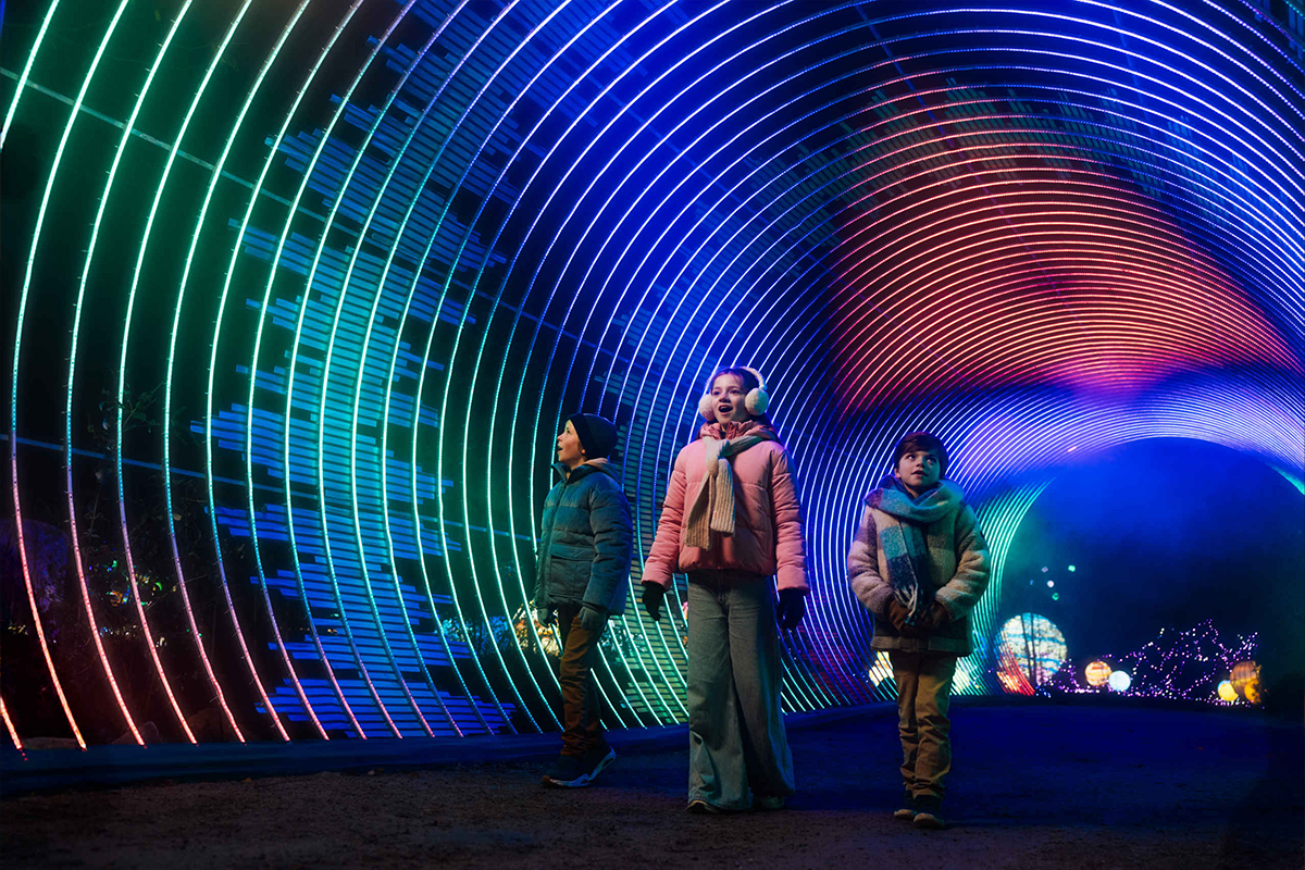 Volwassene ticket Light Safari Beekse Bergen