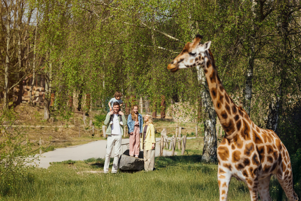 Volwassene ticket Safaripark Beekse Bergen