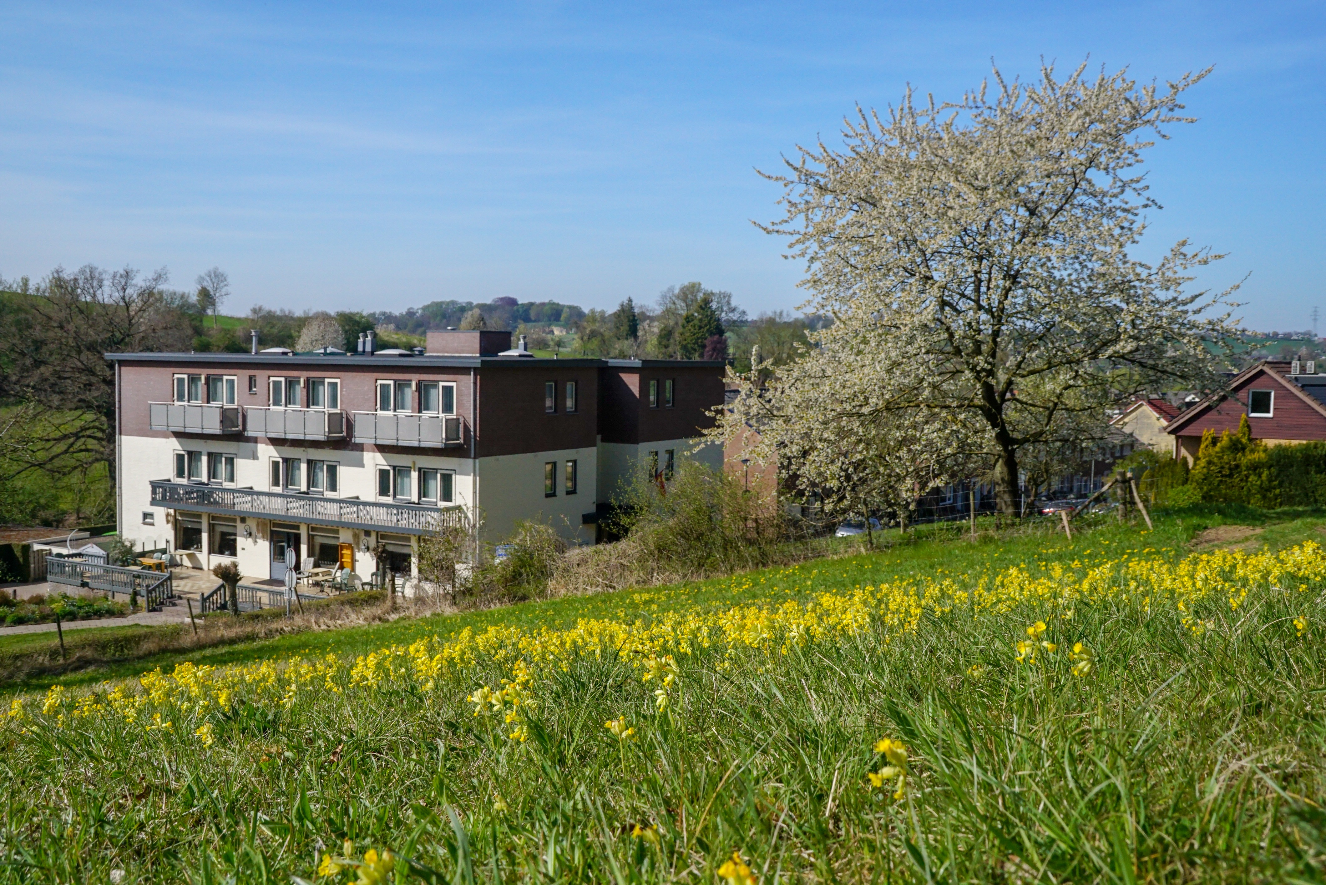 Hotel Bemelmans