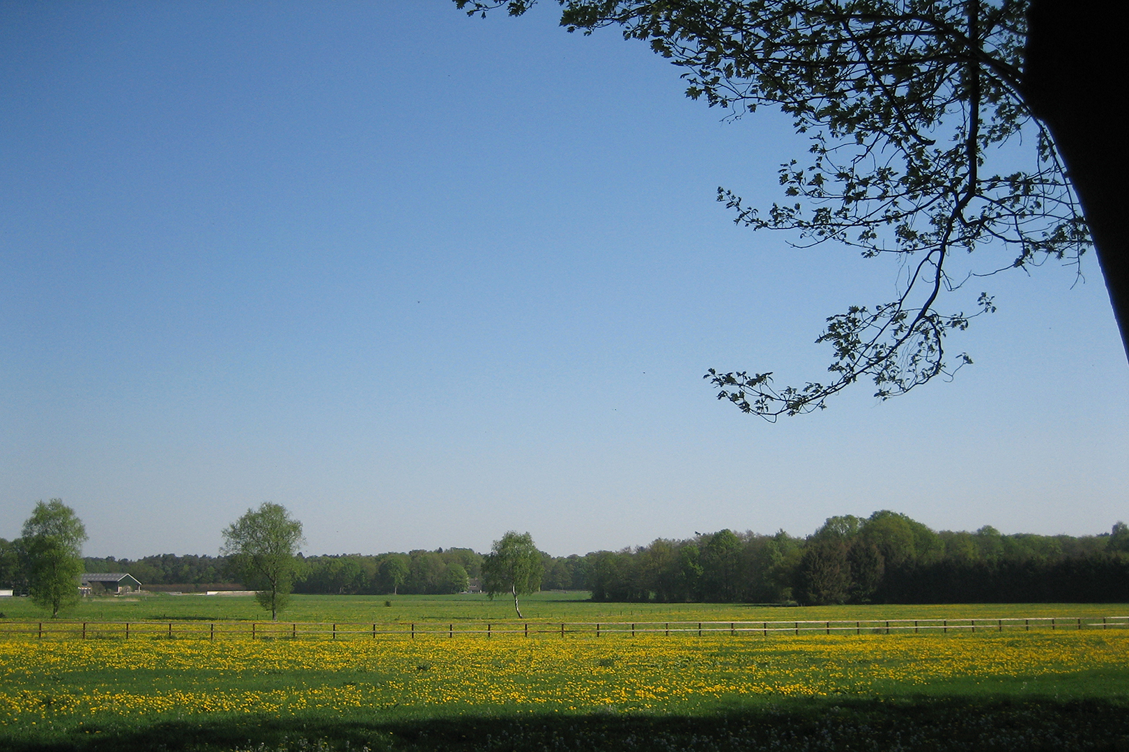 Landgoedhotel Woodbrooke