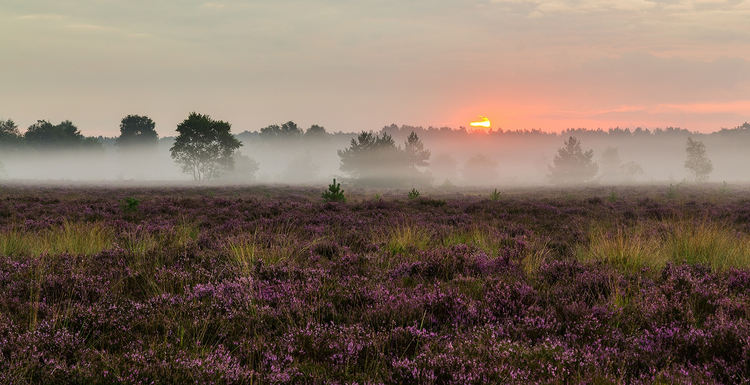 NH Koningshof