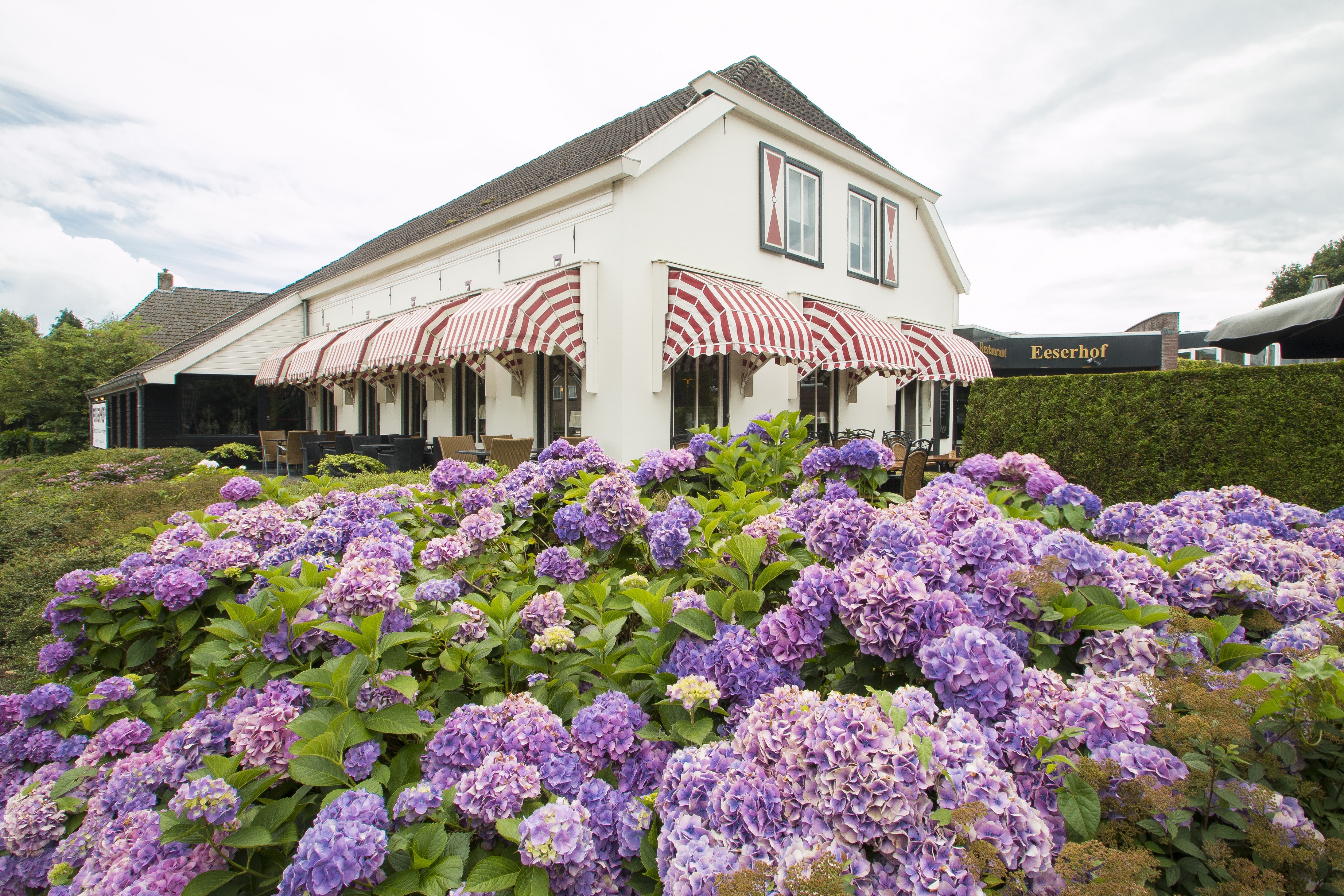 Hotel Eeserhof