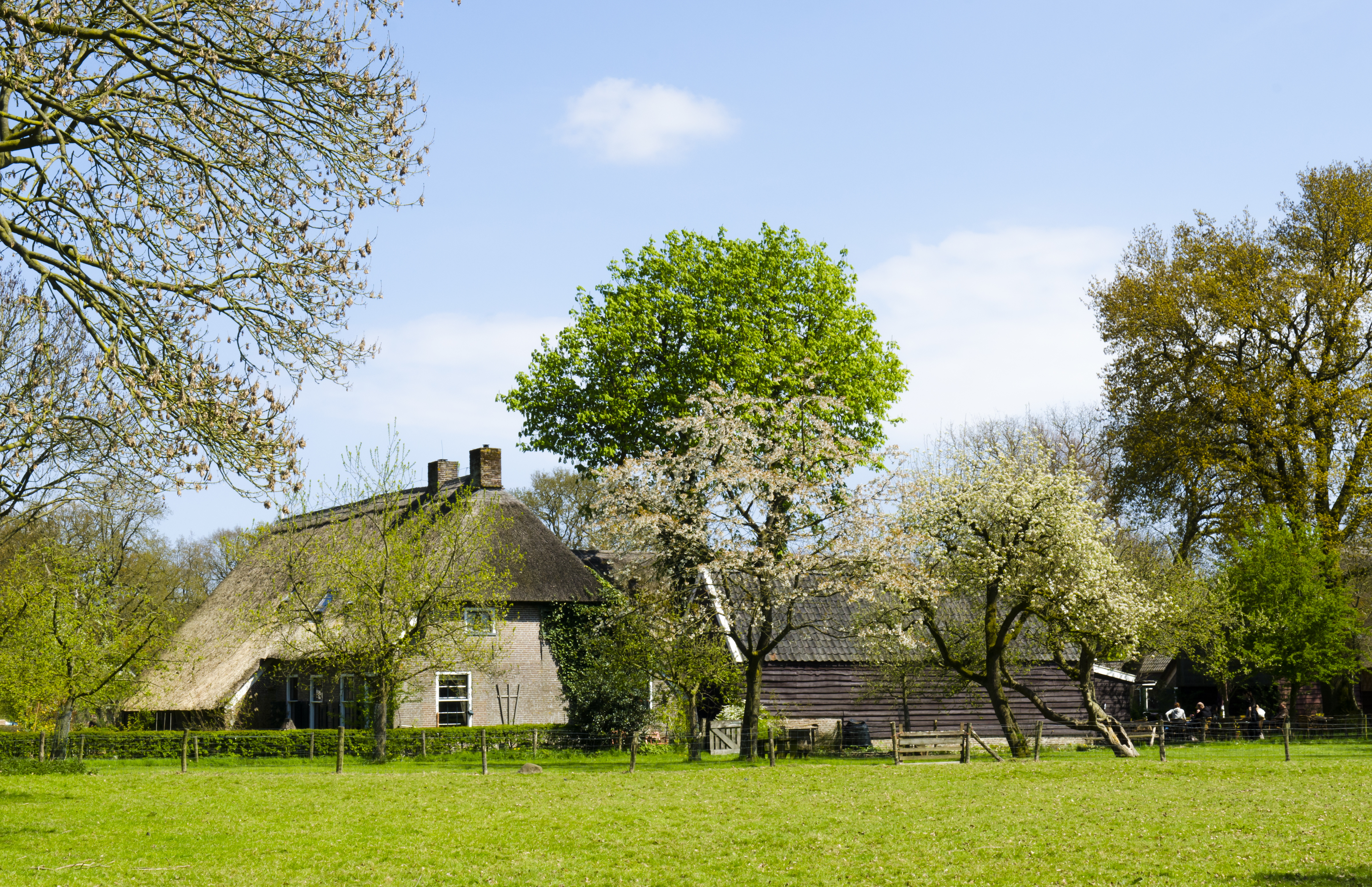 Hotel Eeserhof