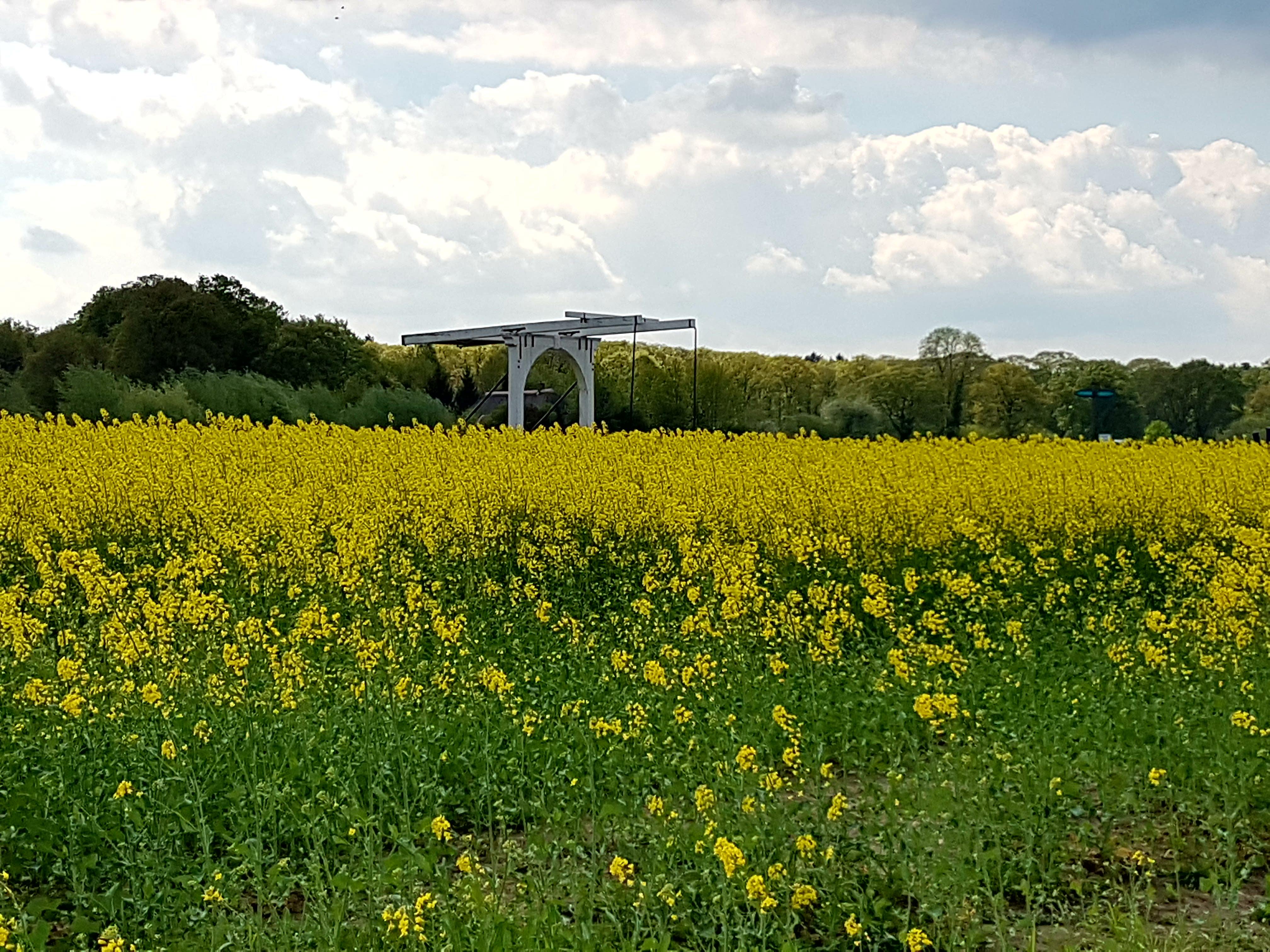 Hotel Landgoed Ehzerwold Almen