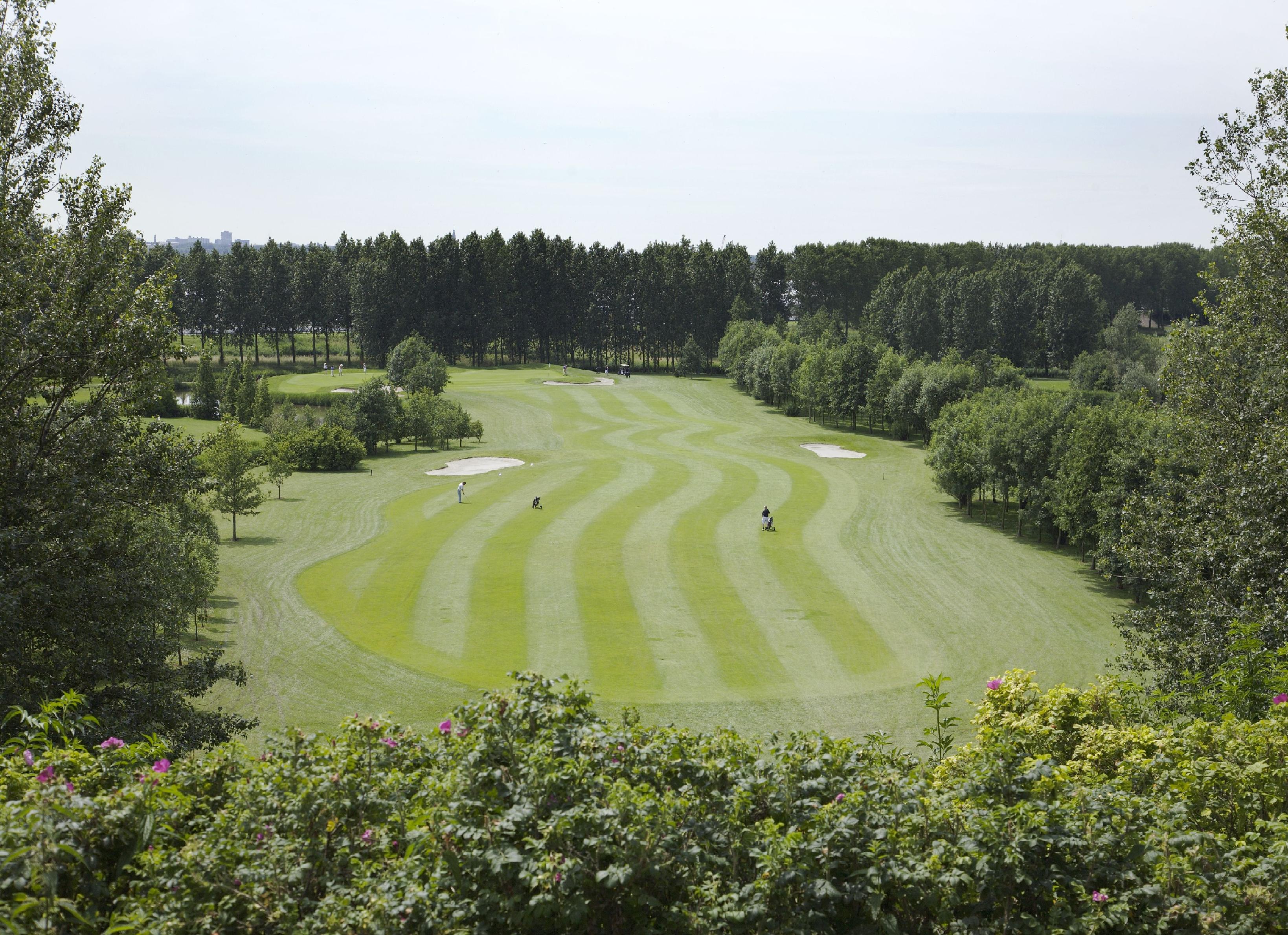 Golden Tulip Zoetermeer - Den Haag | 3 Tage stilvoll nahe Den Haag & Scheveningen | Frühstück und Abendessen