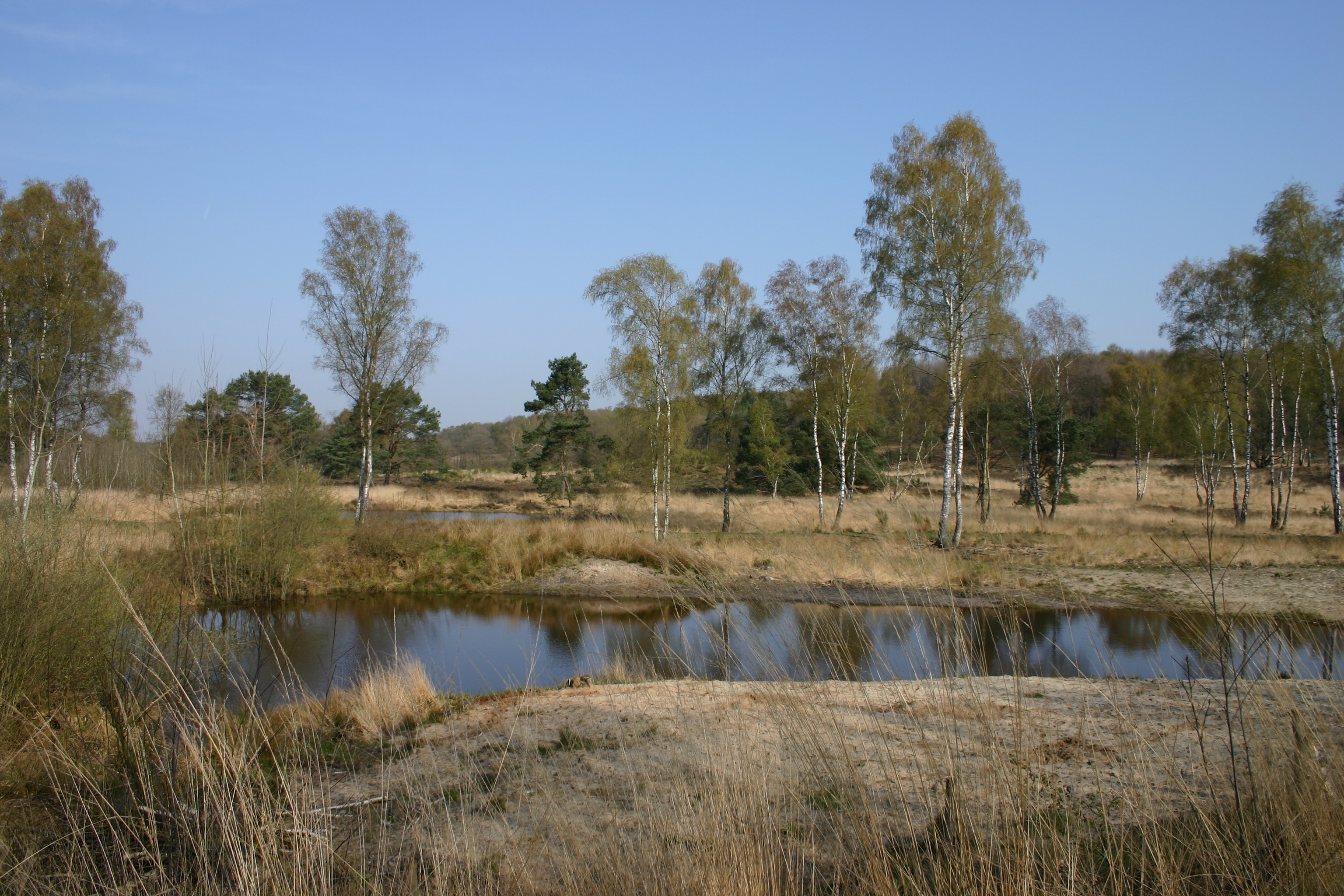 Waldhotel Vlodrop