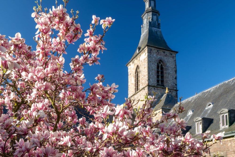 Abdij Hotel Rolduc | Verblijf 3 dagen in een monumentale abdij nabij centrum Kerkrade