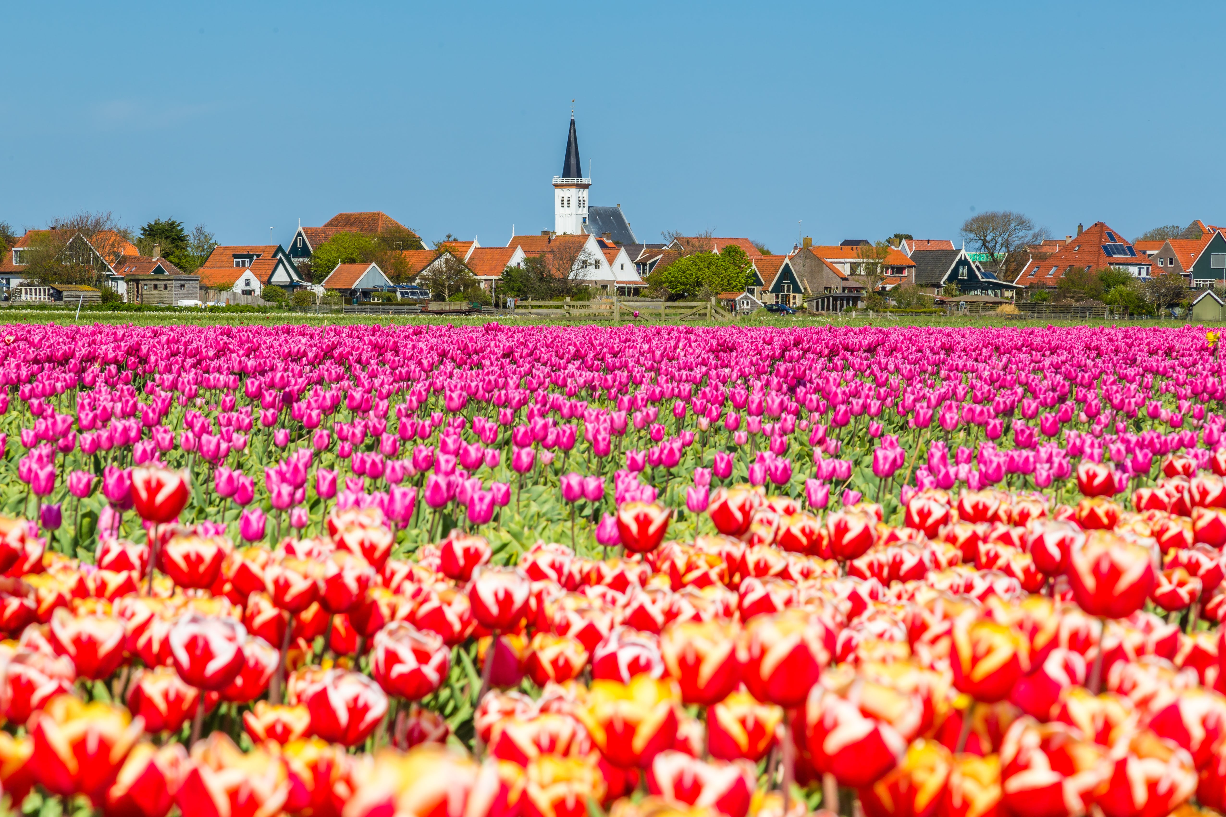 Landgoed Hotel Tatenhove Texel