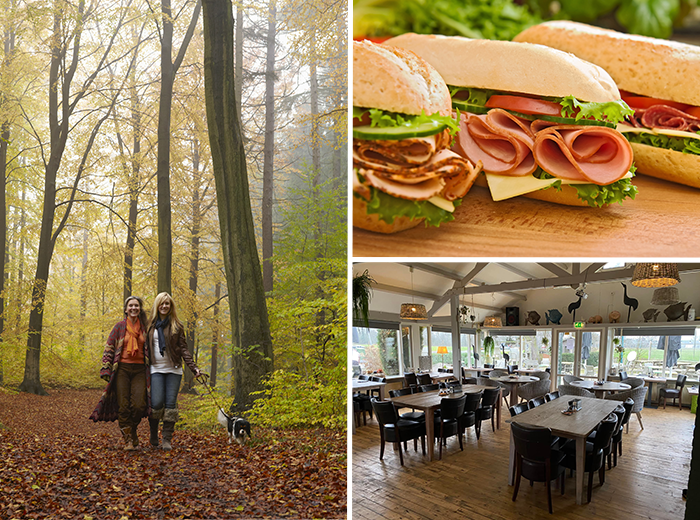 Wandelarrangement bij Eiland van ome Nick