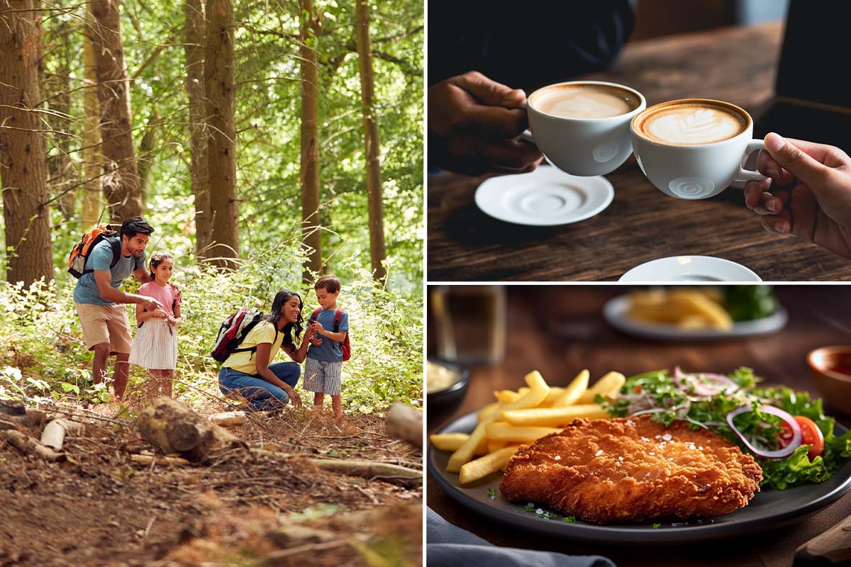 Wandelarrangement incl. koffie + gebak en hoofdgerecht bij Bergzicht Vijlen
