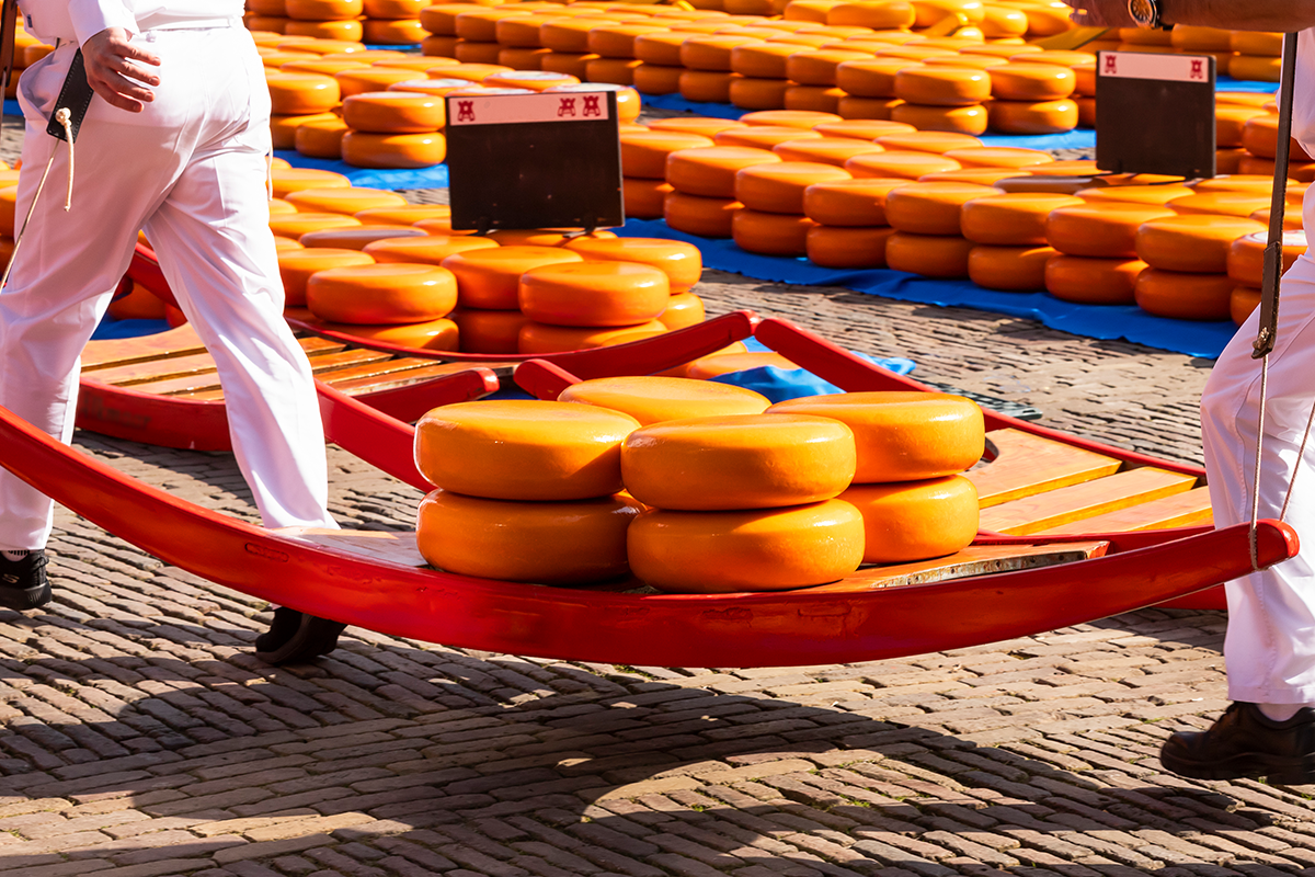 Wandelarrangement met koffie/thee + gebak en tosti 