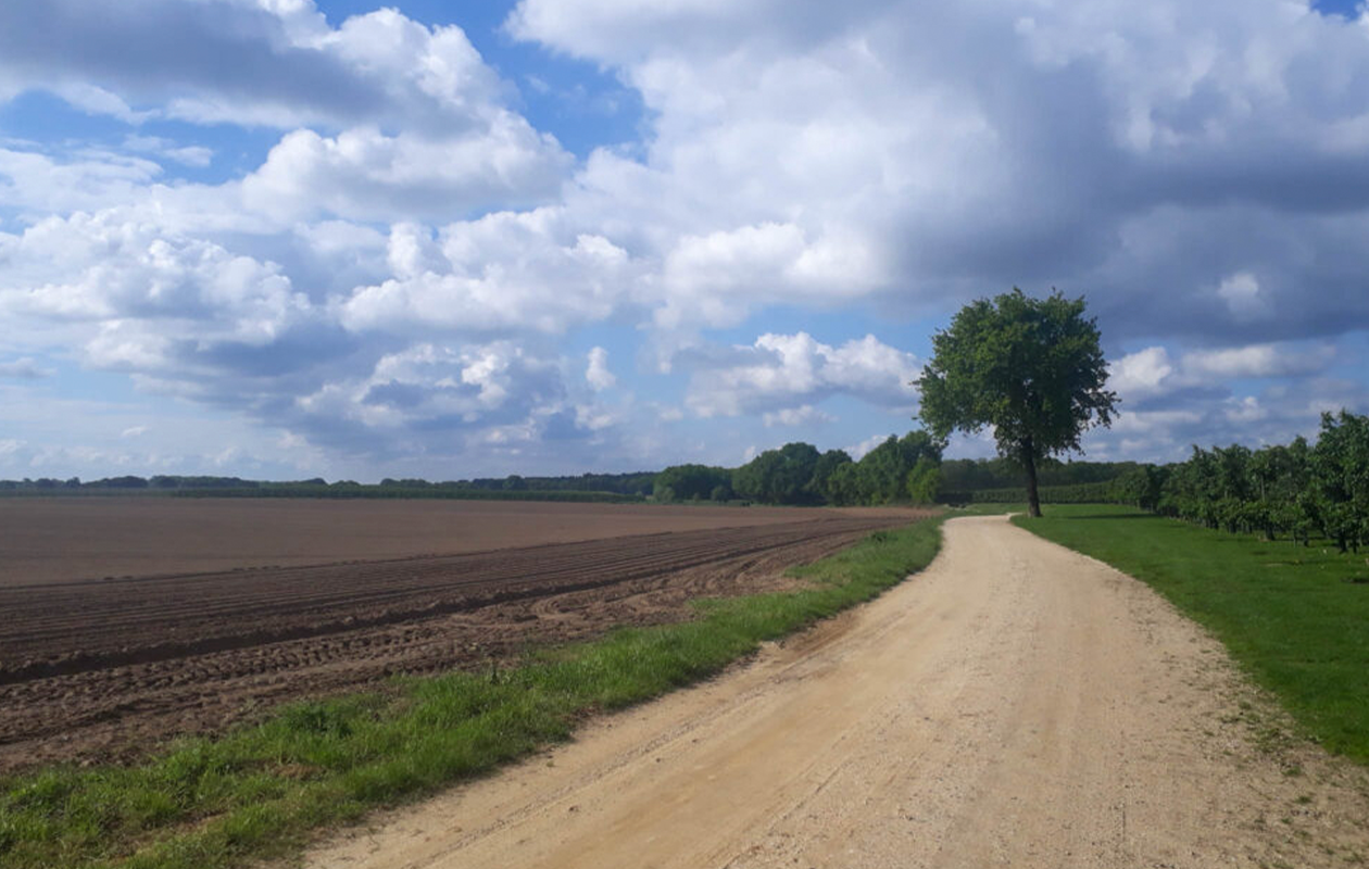 Wandelarrangement met koffie/thee + Limburgse vlaai en pizza