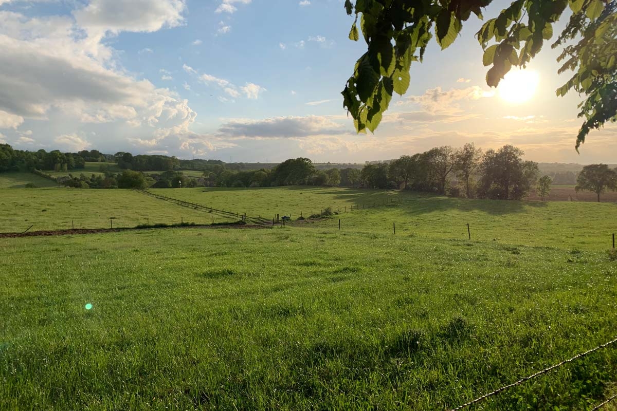 Wandelarrangement Schin op Geul, inclusief koffie, vlaai + hoofdgerecht
