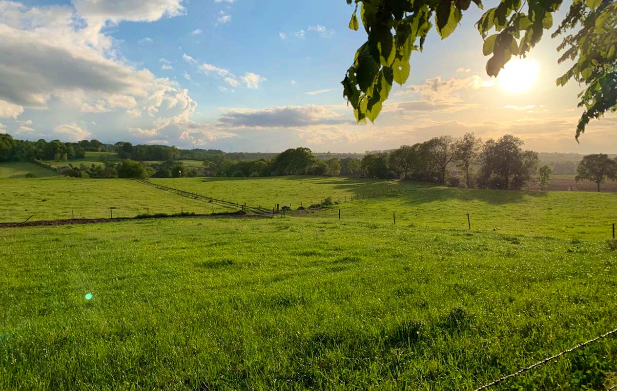Wandelarrangement Schin op Geul, inclusief koffie, vlaai + hoofdgerecht