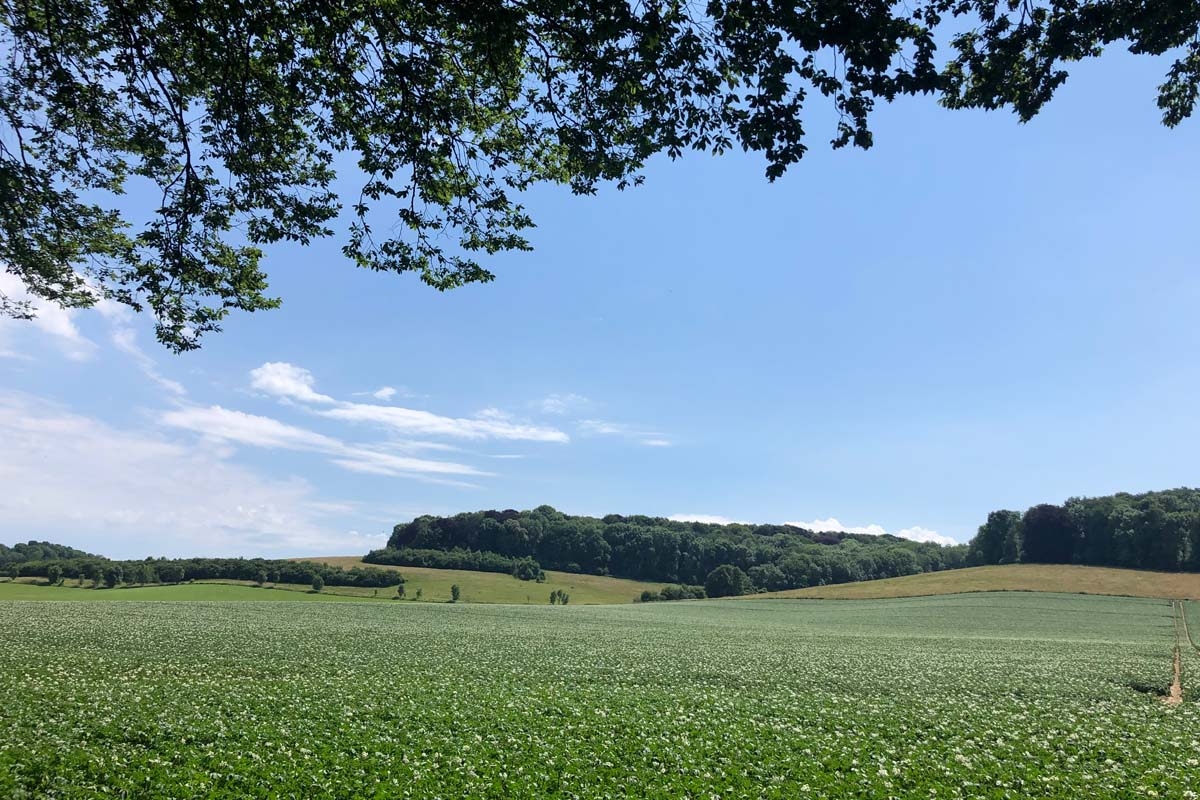 Wandelarrangement Schin op Geul, inclusief koffie, vlaai + hoofdgerecht