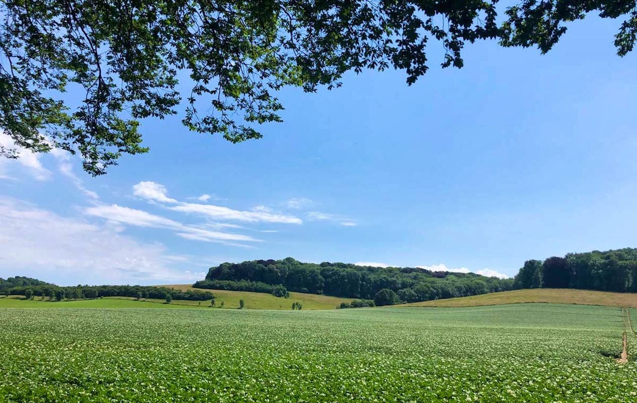Wandelarrangement Schin op Geul, inclusief koffie, vlaai + hoofdgerecht