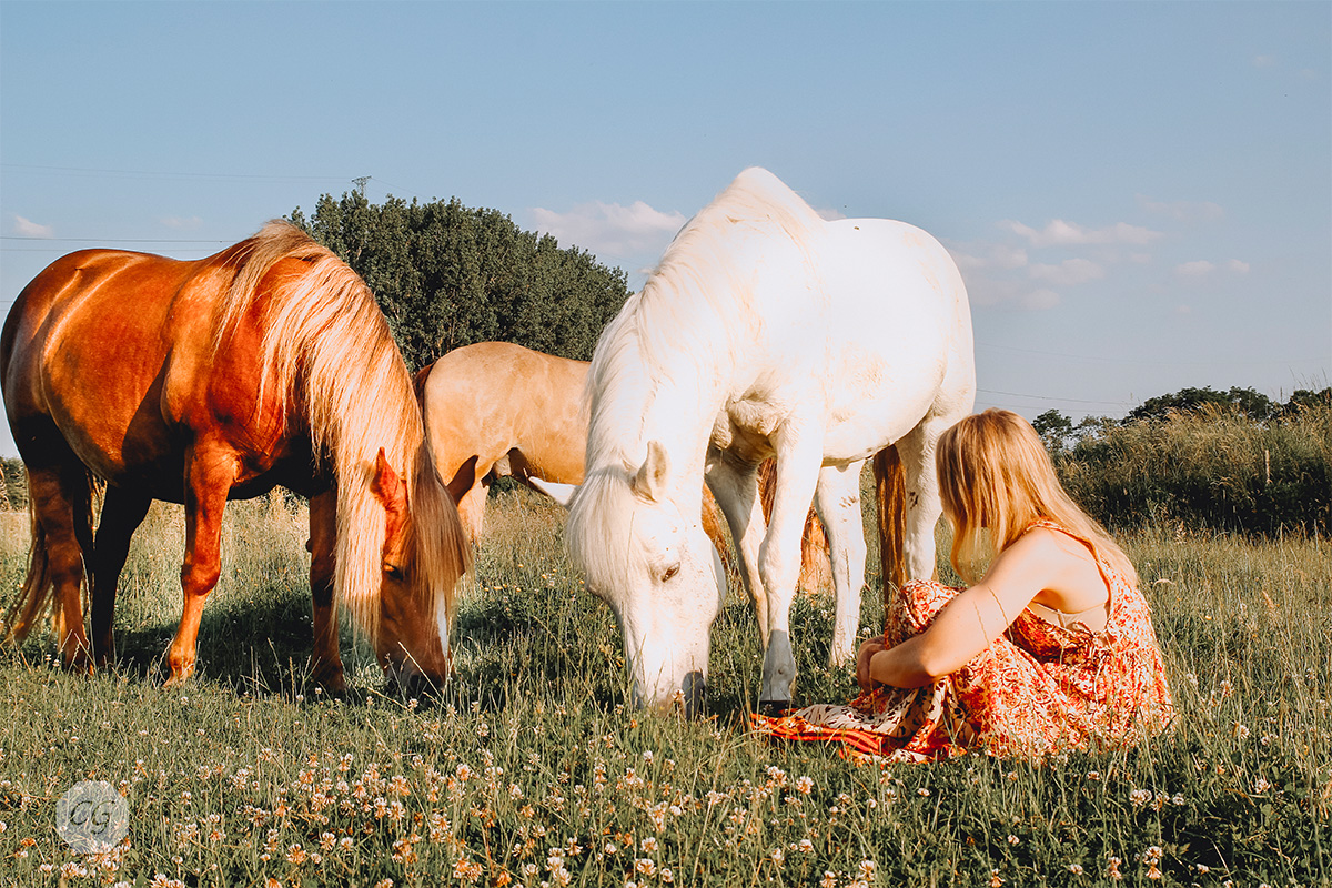 Gezinswandeling met pony of ezel, inclusief drankje en lekkernij