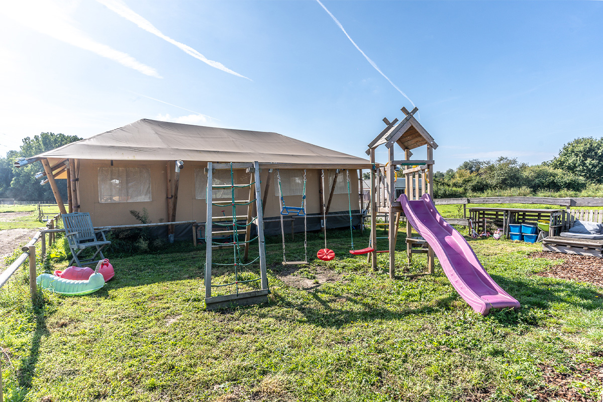 Gezinswandeling met pony of ezel, inclusief drankje en lekkernij