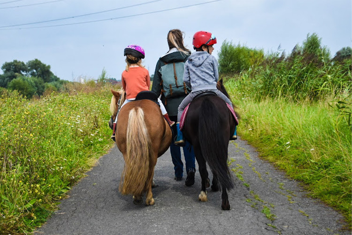 Gezinswandeling met pony of ezel, inclusief drankje en lekkernij