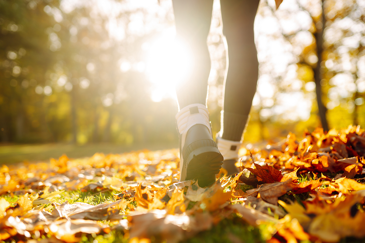 Interactieve wandeltocht door de natuur + quiz