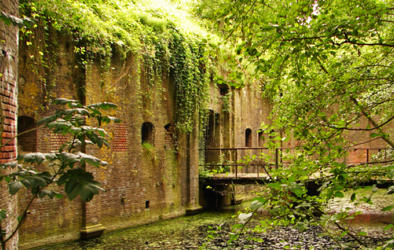 Ontdek de kracht van water in het Waterliniemuseum