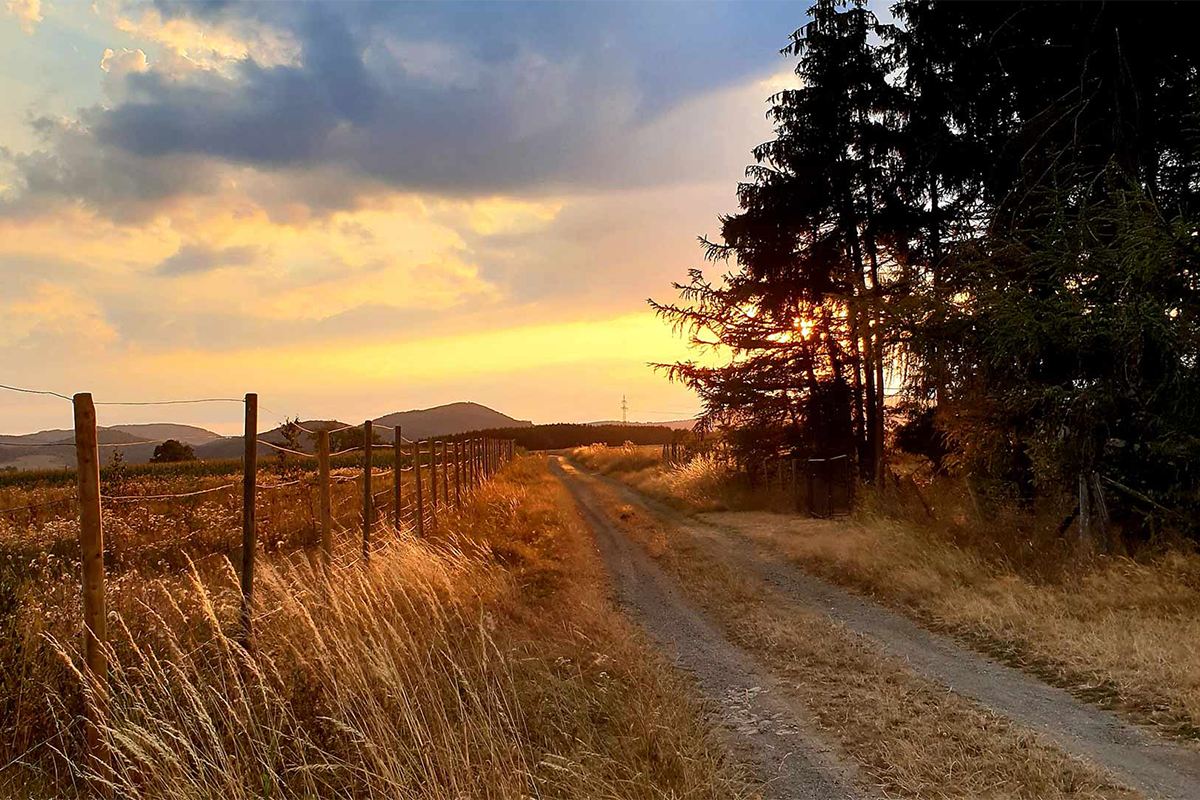 3, 4 of 6 overnachtingen bij UplandParcs Sauerland