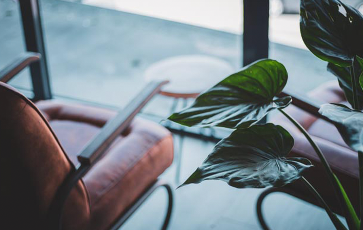 Cocktail proeverij bij Mitra De Nieuwe Bourgondiër 