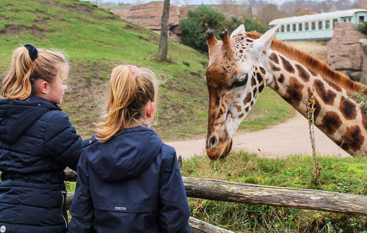 Entreeticket WILDLANDS Adventure Zoo