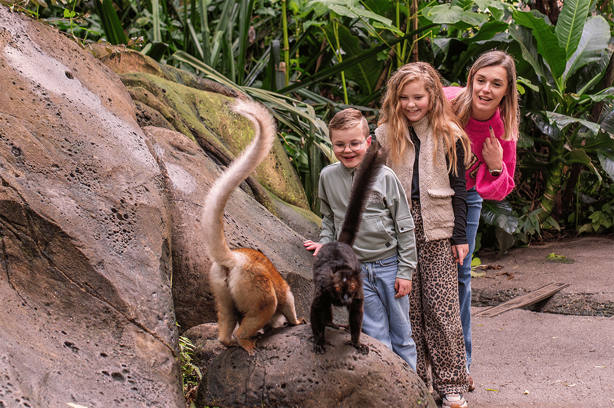 Entreeticket WILDLANDS Adventure Zoo