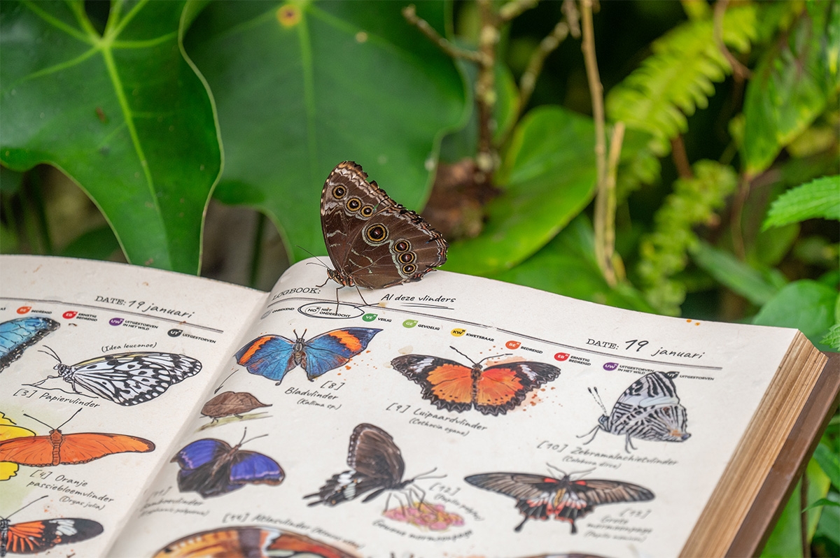 Entreeticket WILDLANDS Adventure Zoo