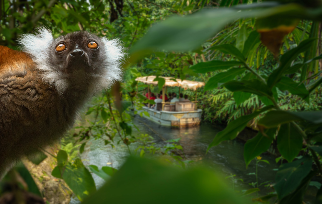Entreeticket WILDLANDS Adventure Zoo