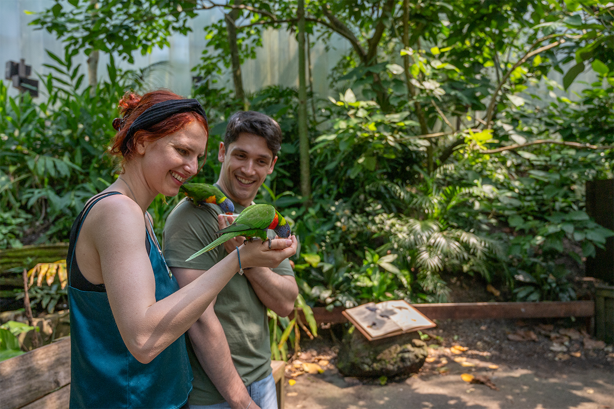 Entreeticket WILDLANDS Adventure Zoo