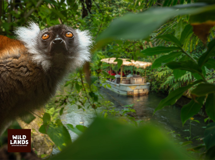 Entreeticket WILDLANDS Adventure Zoo