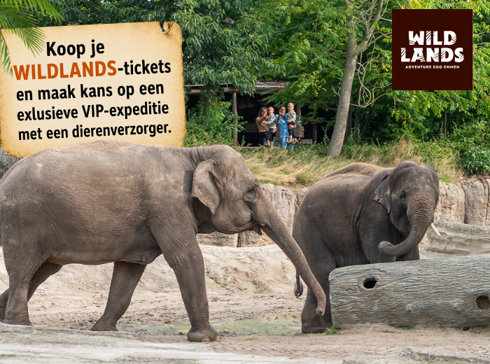 Entreeticket WILDLANDS Adventure Zoo + maak kans op een VIP-expeditie