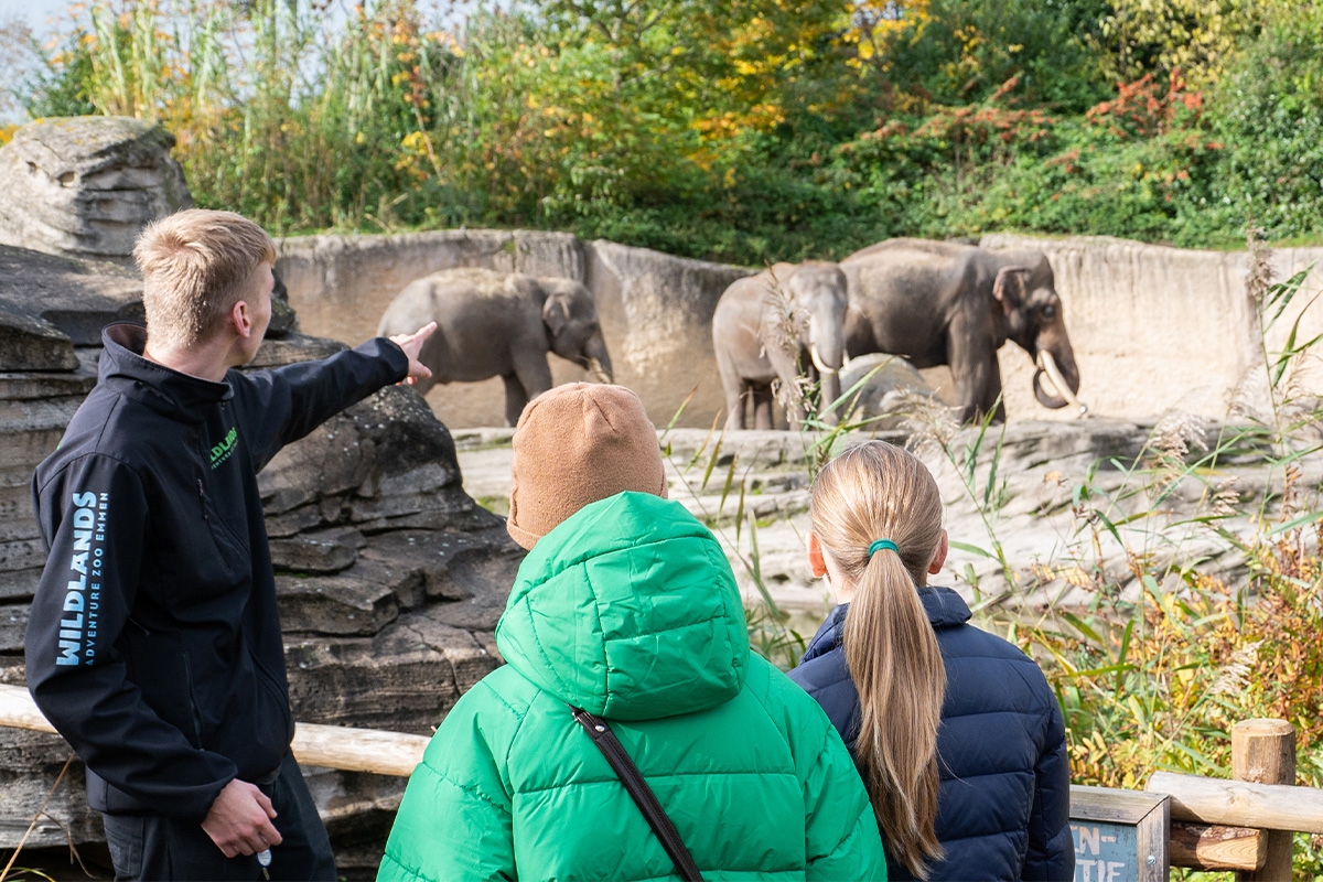 Entreeticket WILDLANDS Adventure Zoo